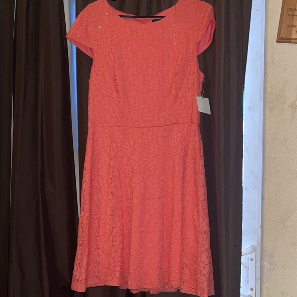 Women size 12 brand new dress